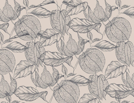 Zarte lila Physalis-Blumen Fototapete für das Wohnzimmer