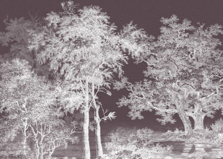 Weiß illustrierter Wald Fototapete am dunklen Himmel