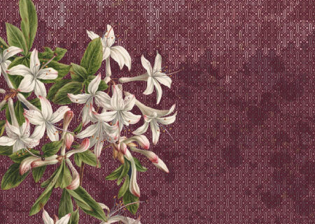 Große Lilienblüten Fototapete auf rot gemustertem Hintergrund im Art-Deco-Stil