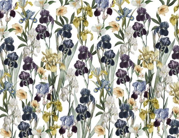 Fototapete bunte Iris in dunklen Farben auf weißem Hintergrund