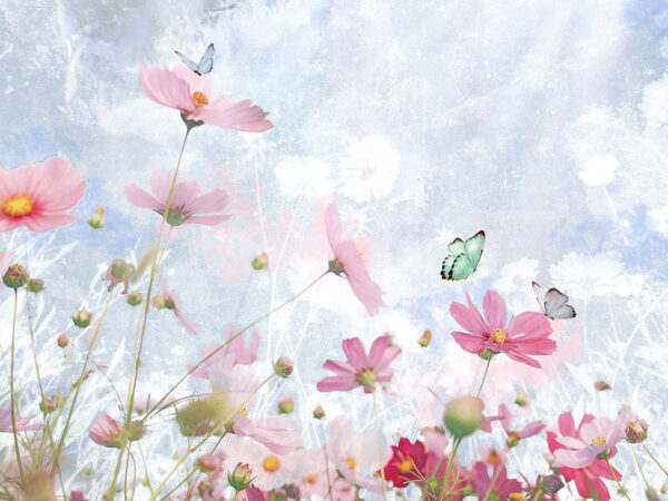 Fototapete mit rosa Gänseblümchen und Schmetterlingen gegen den Himmel