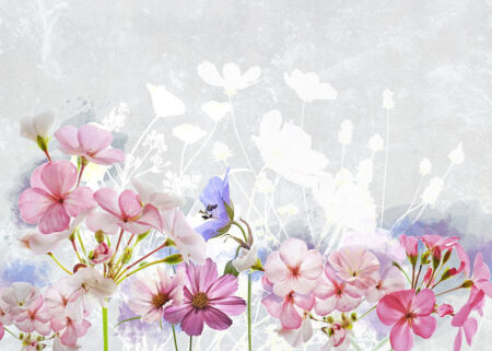 Fototapete rosa Gänseblümchen und Phloxblüten auf dekorativem Hintergrund in Grautönen