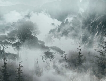 Fototapete Landschaft von Berggipfeln mit Bäumen im Nebel in dunklen Grautönen