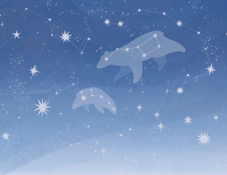 Kindertapete mit den Sternbilder Große und Kleine Bären auf dunkelblauem Hintergrund mit Sternen