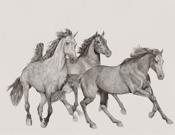 Exklusiv Tapeten mit drei Pferden auf beigem Hintergrund