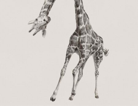 Designer Tapete mit einer gemalten Giraffe auf beigem Hintergrund