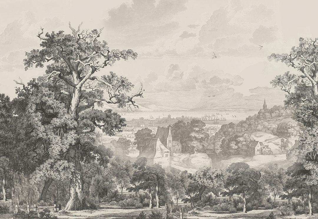 Vintage Radierung Dorf und Wald Fototapeten