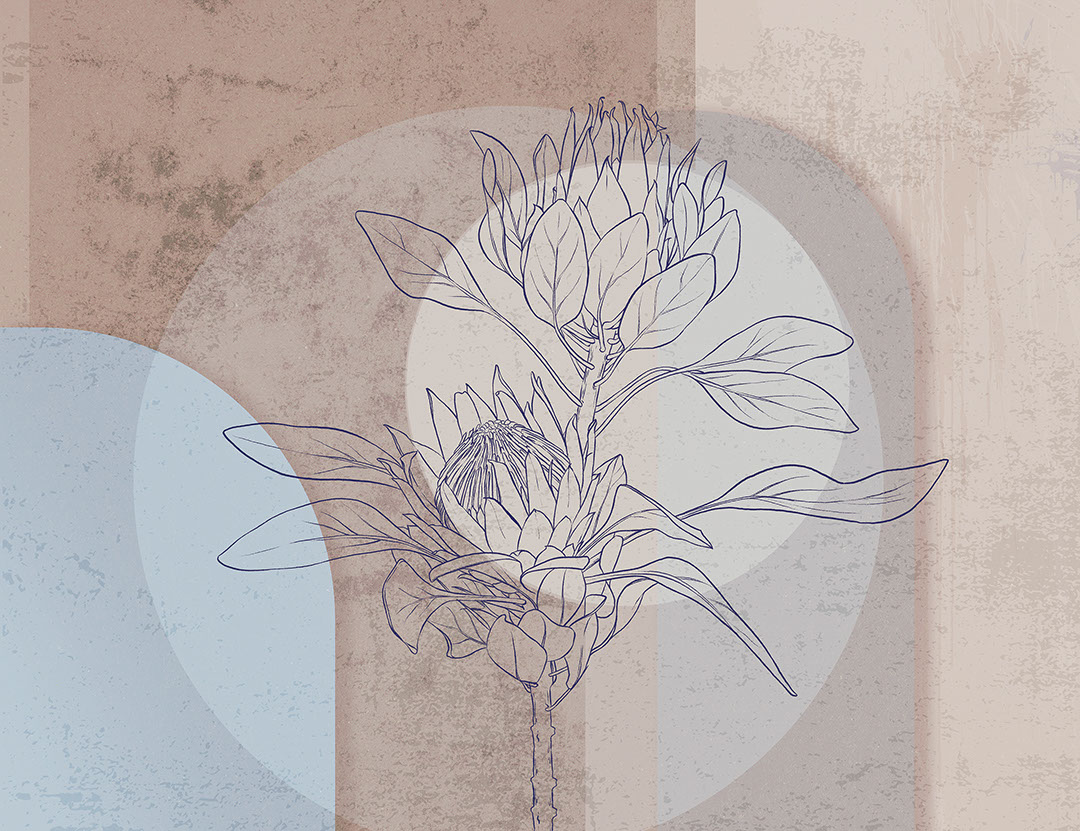Geometrische Fototapeten mit Protea-Blüte in Braun- und Blautönen