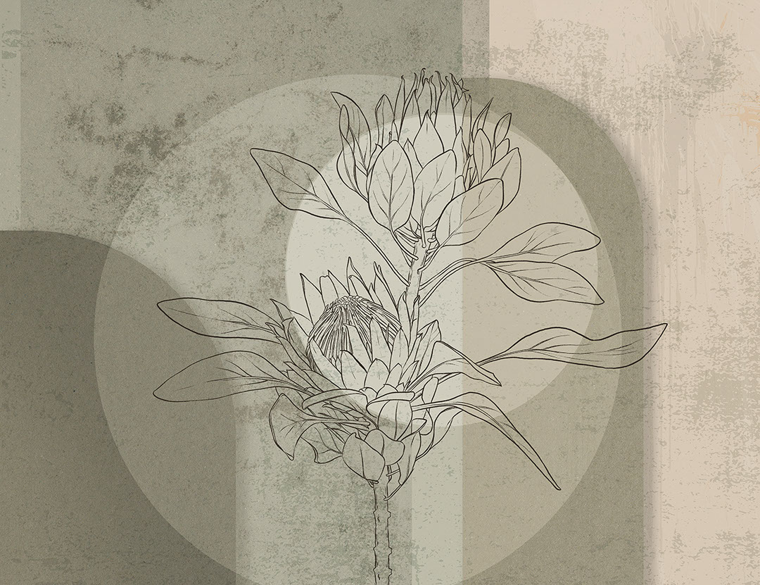 Geometrische Fototapeten mit Protea-Blüte in Braun- und Beigetönen