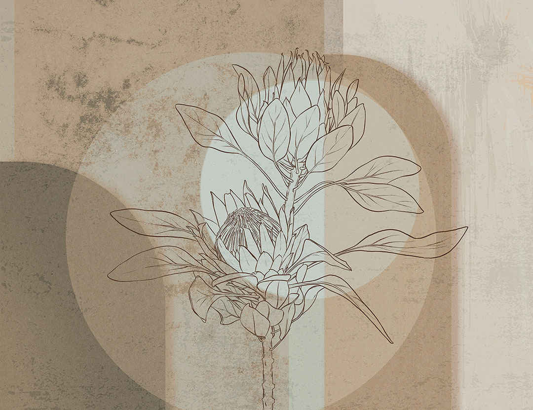 Geometrische Fototapeten mit Protea-Blüte in Brauntönen
