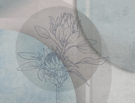 Übergroße florale Fototapete mit Protea und pastellfarbenem geometrischem Hintergrund
