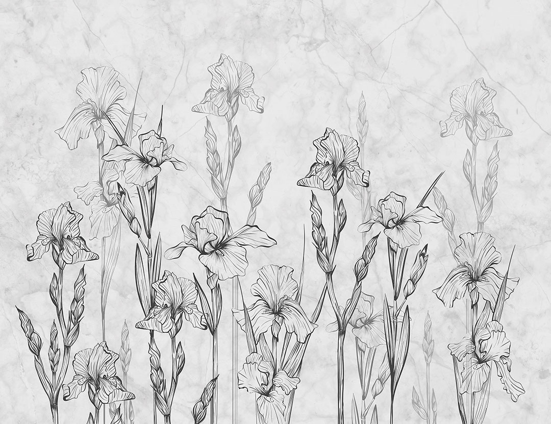 Minimalistische Schwertlilien und grauer Marmor Fototapete