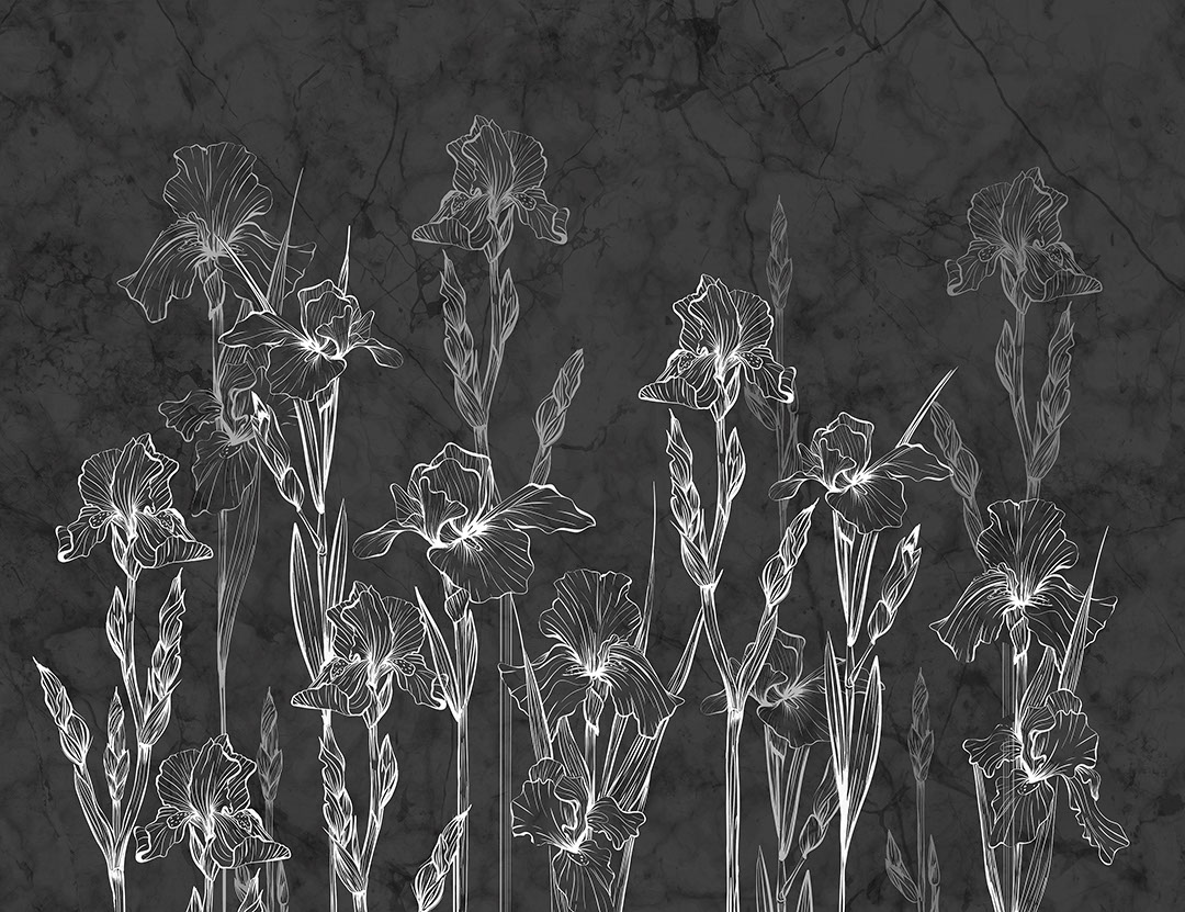 Minimalistische Schwertlilien und dunkler Marmor Fototapete