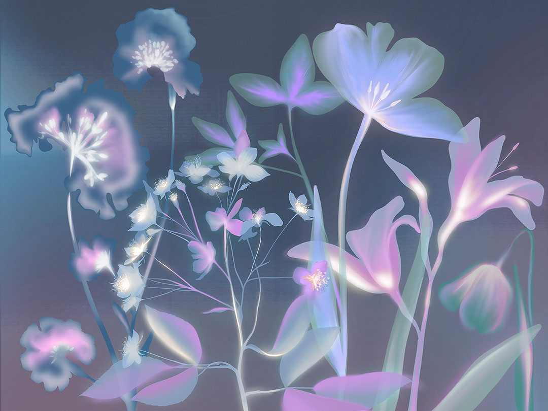 Bunte Blumenabdrücke mit blauem Röntgeneffekt Fototapete