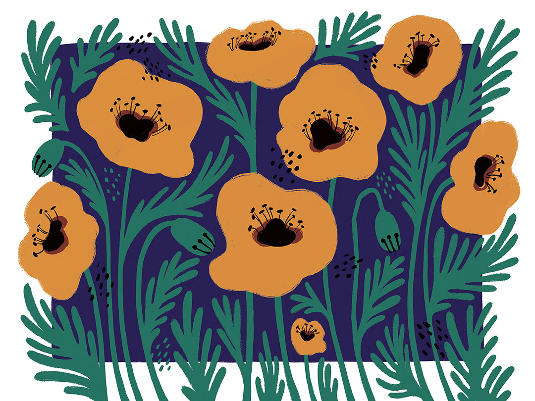 Gelbe illustrierte Blumen Fototapete mit asymmetrischem blauem Hintergrund