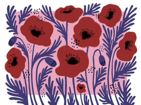 Rote illustrierte Blumen Fototapete mit asymmetrischem rosa Hintergrund
