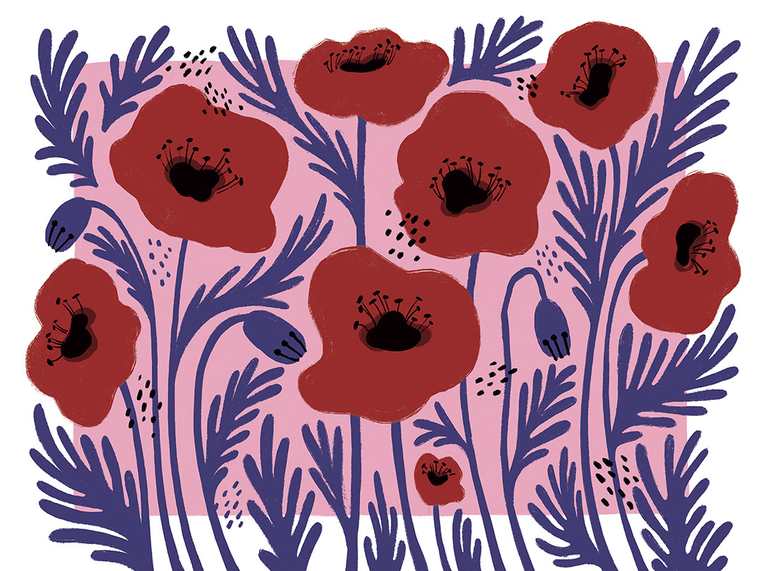 Rote illustrierte Blumen Fototapete mit asymmetrischem rosa Hintergrund