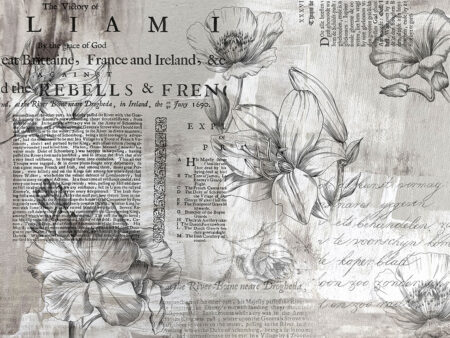 Minimalistische lineare Blumen mit Vintage-Text Fototapeten in Grautönen