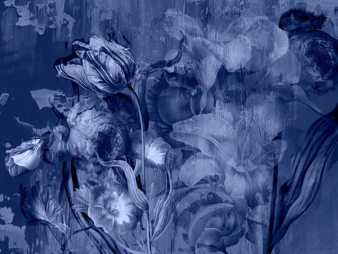 Stimmungsvolle florale blaue Fototapete mit großen Rosen und Pfingstrosen