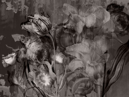 Stimmungsvolle florale schwarz-weiße Fototapeten mit großen Rosen und Pfingstrosen