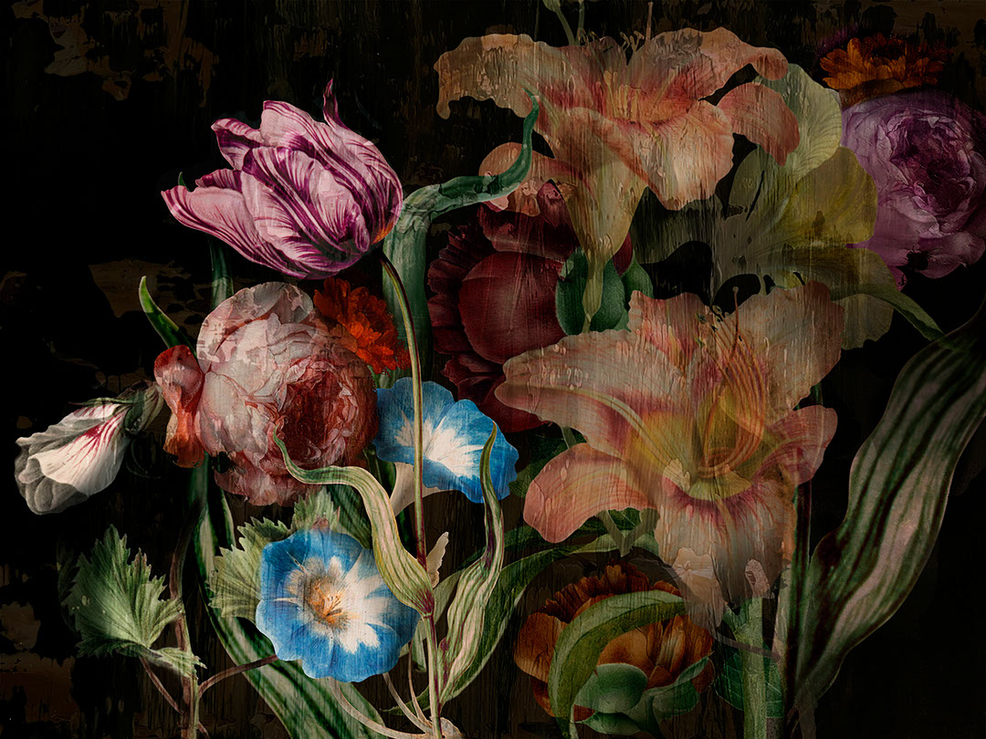 Stimmungsvolle florale Fototapete mit großen dunklen Rosen und Pfingstrosen