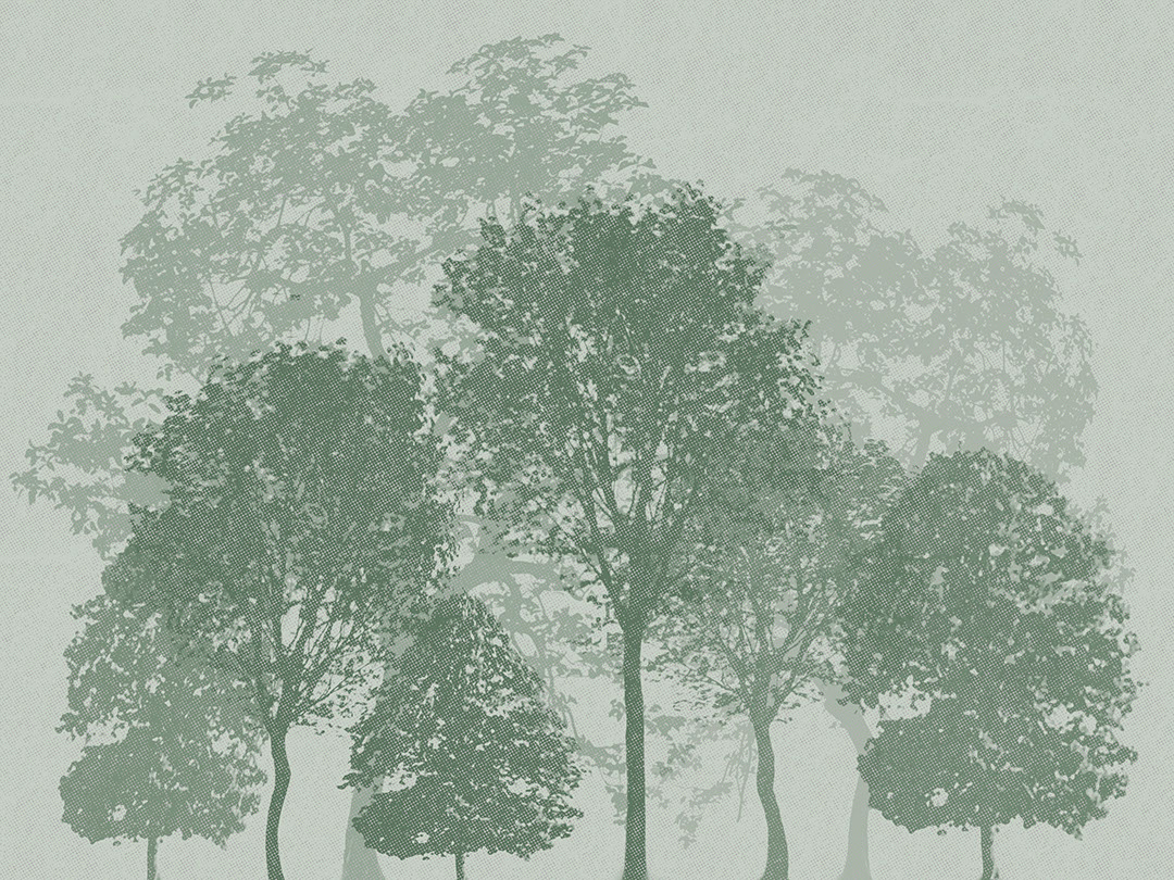 Minimalistischer grüner Wald geätzte Fototapeten