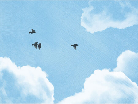 Strukturierte Wolken und dunkle Vögel am blauen Himmel Fototapeten