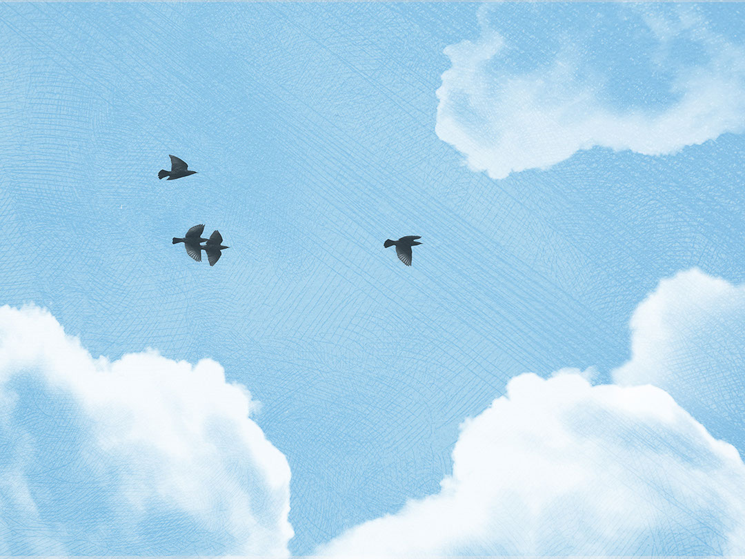 Strukturierte Wolken und dunkle Vögel am blauen Himmel Fototapeten