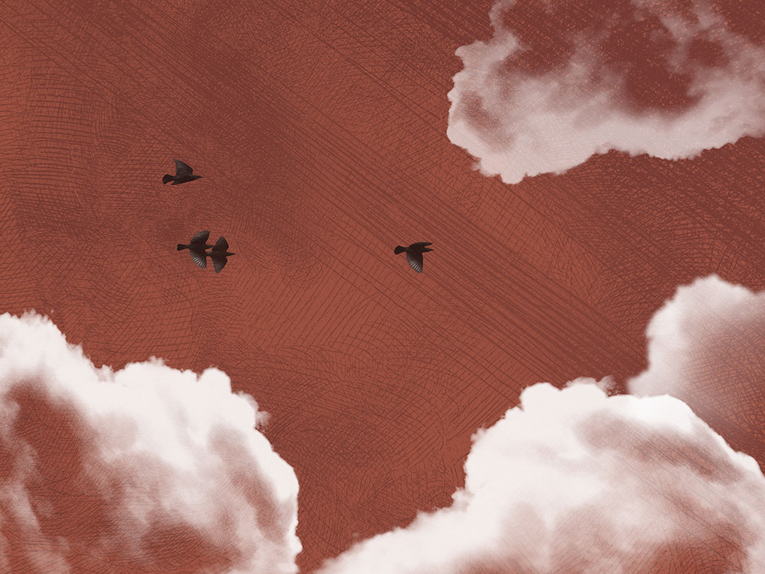 Strukturierte Wolken und dunkle Vögel am roten Himmel Fototapeten