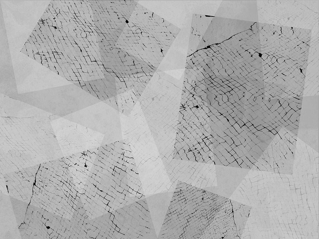 Abstrakte geometrische graue Fototapeten mit animalischen Rechtecken