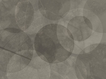 Abstrakte geometrische dunkle Fototapete mit Blätterstruktur