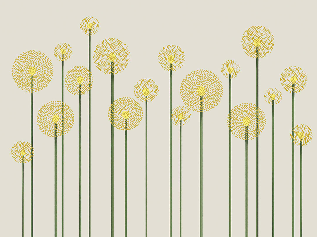 Illustrierte minimalistische gelbe Löwenzahn-Fototapete