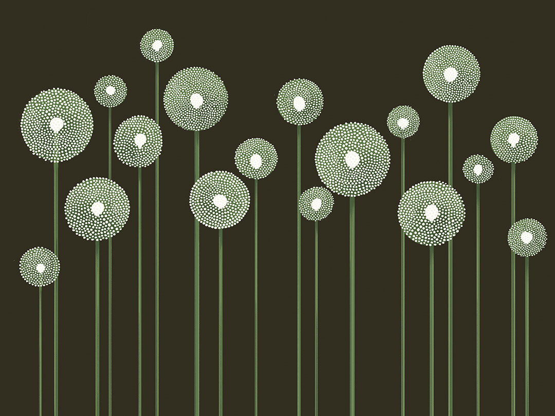 Illustrierte minimalistische grüne Löwenzahn-Fototapete auf dunklem Hintergrund