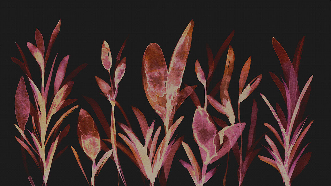 Dunkle Aquarell-Fototapeten mit Pflanzenmotiven