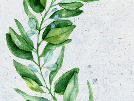 Übergroße Aquarell-Blumenzweig-Fototapete