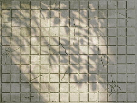 Graue Steinfliesen mit Blattschatten Fototapete