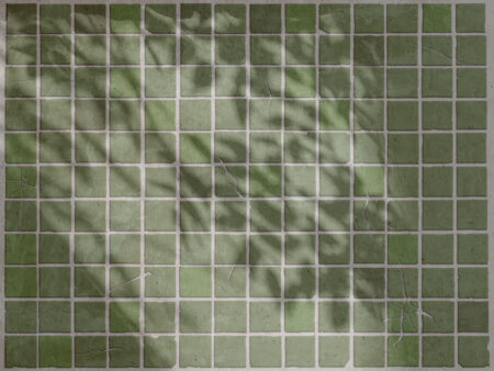 Grüne Steinfliesen mit Blattschatten Fototapete