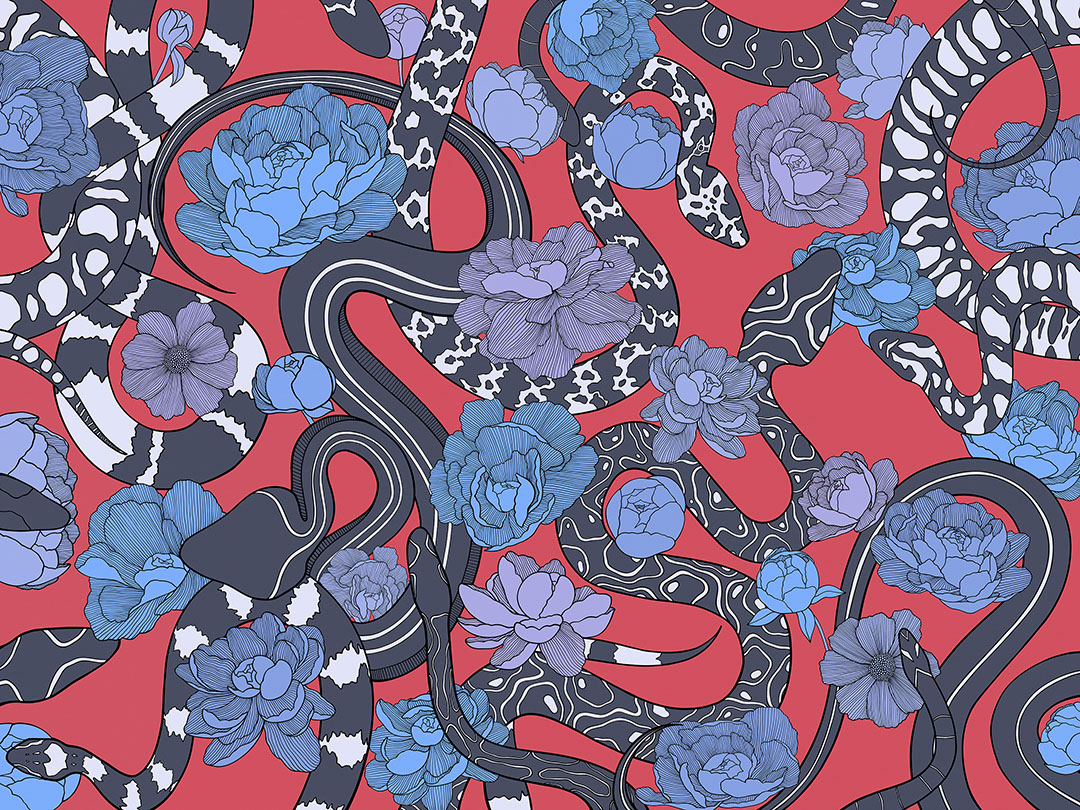 Schwarze Schlangen und blaue Blumen Fototapeten auf rotem Hintergrund