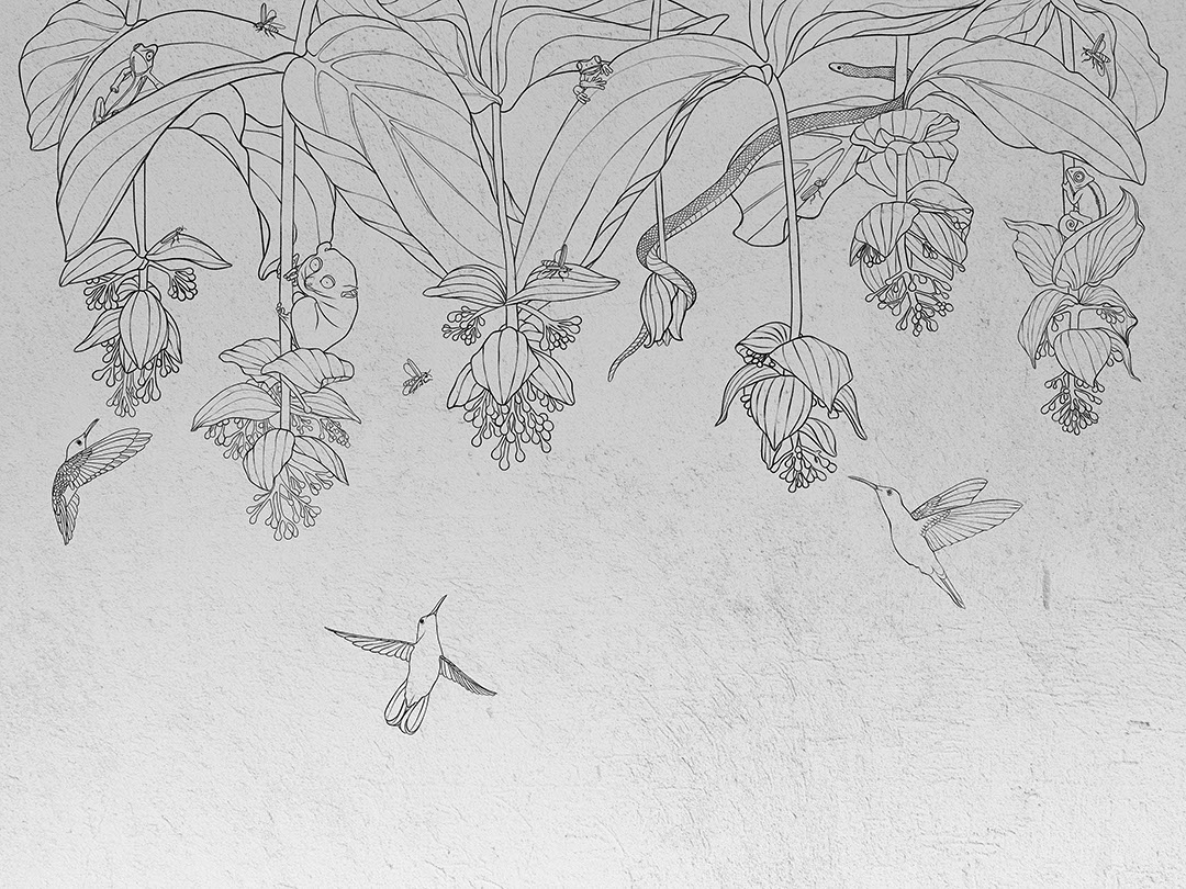 Tropische Blumen mit Kolibris Fototapete auf strukturiertem Hintergrund