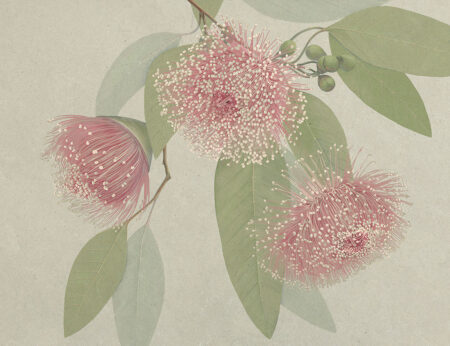 Maximalistische rosa Blumen Fototapete mit zarten Blättern