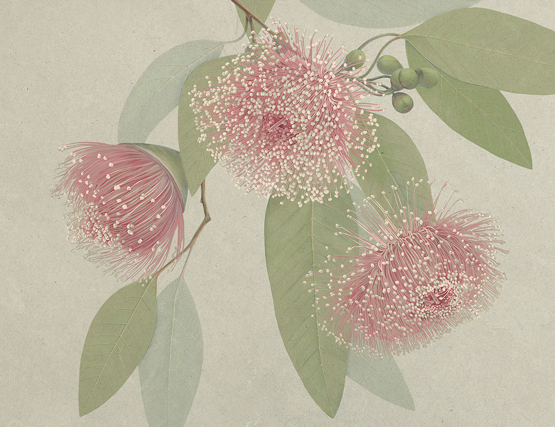 Maximalistische rosa Blumen Fototapete mit zarten Blättern