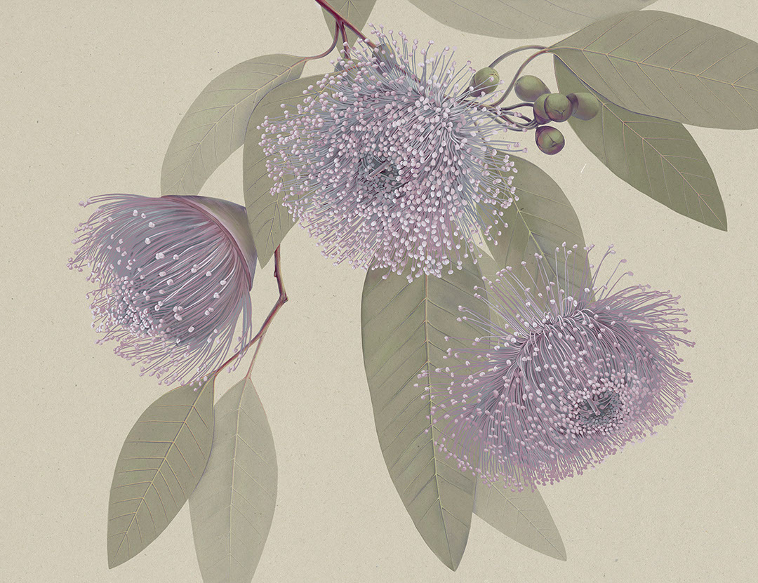 Maximalistische lila Blumen Fototapete mit zarten Blättern