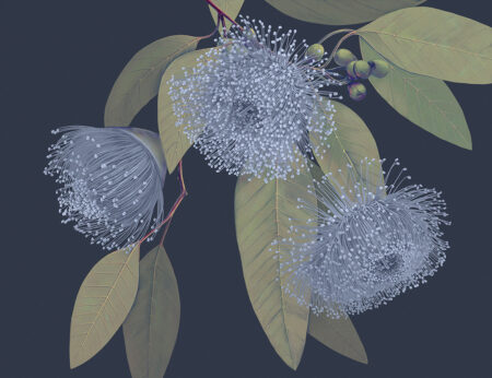 Dunkle, zarte, maximalistische florale Fototapeten mit zarten Blättern auf blauem Hintergrund
