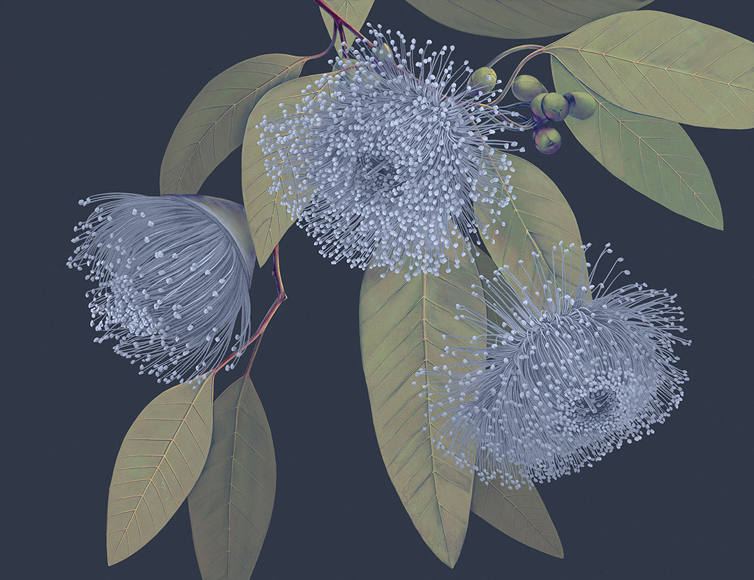Dunkle, zarte, maximalistische florale Fototapeten mit zarten Blättern auf blauem Hintergrund