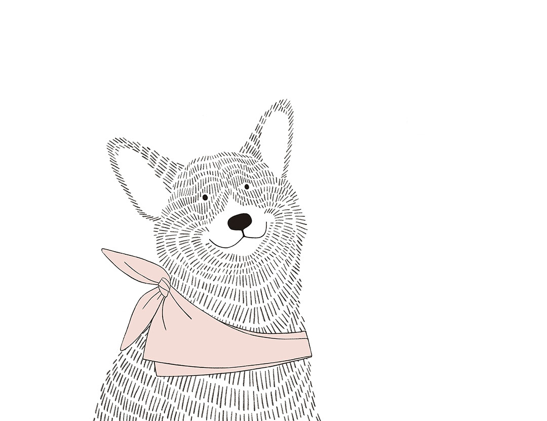 Minimalistische Fototapeten im Grafikstil mit einem Corgi-Hund in rosa Schal