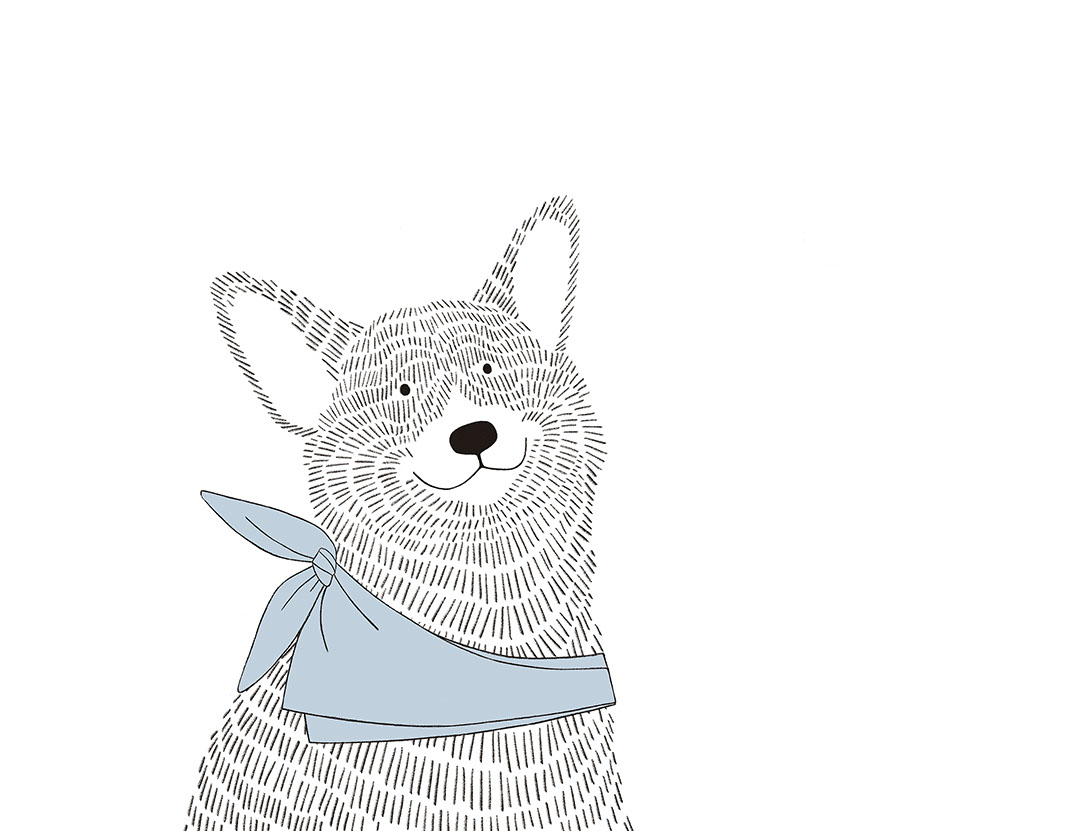 Minimalistische Fototapeten im Grafikstil mit einem Corgi-Hund in blauem Schal