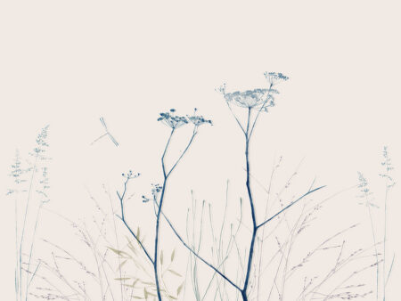 Zarte minimalistische blaue Blumen Fototapeten
