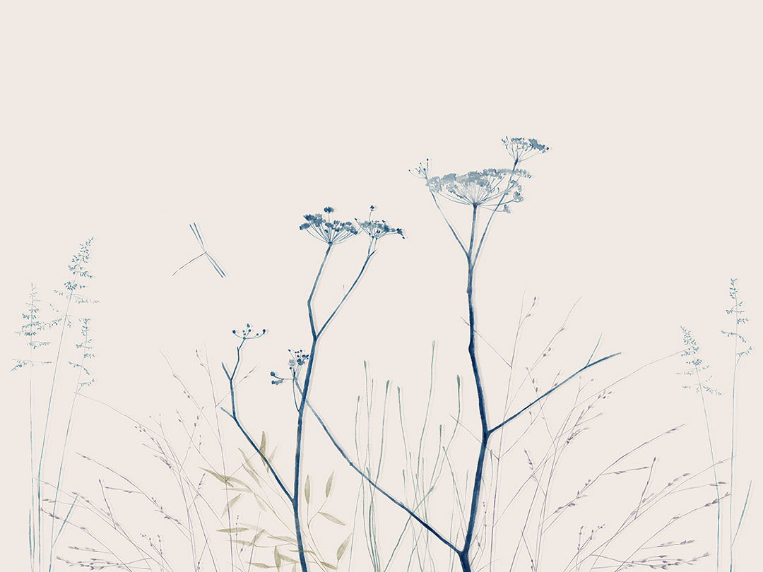 Zarte minimalistische blaue Blumen Fototapeten