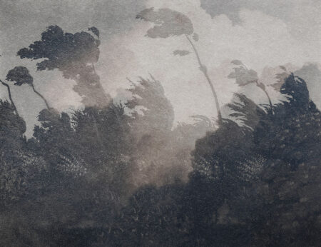Vintage Fototapete grau geätzter Wald mit Wolken