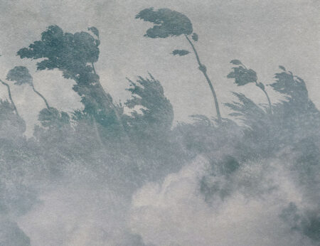 Vintage-Fototapete mit grauer Struktur und Ätzung, Wald im Nebel
